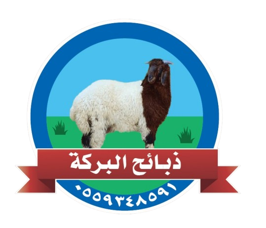 افضل ذبايح بلدي