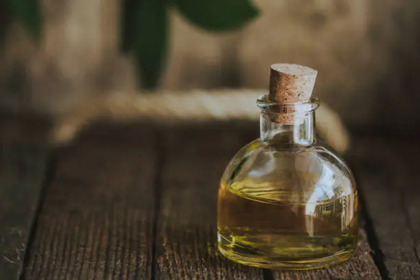 فوائد الحنظل الصحية والجمالية